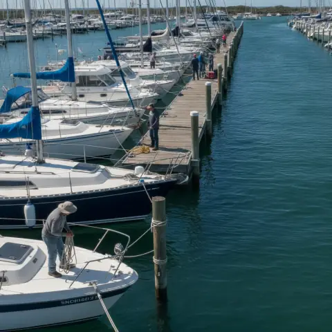 Marina dock with boats on a clear day
